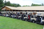large amount of golf carts lined up