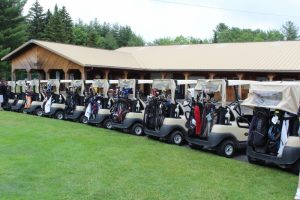 line of golf carts locked and loaded, lets play golf!