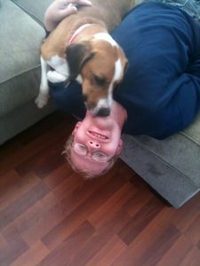 man laying upside down having his face licked by dog