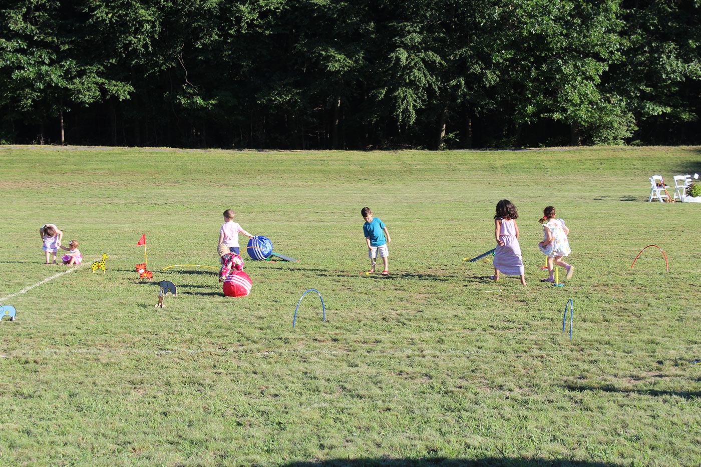 bunch of children playing in field