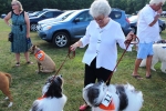 Woman looking at two dogs at the Saratoga Dog & Pony Show to benefit AIM Services, Inc.