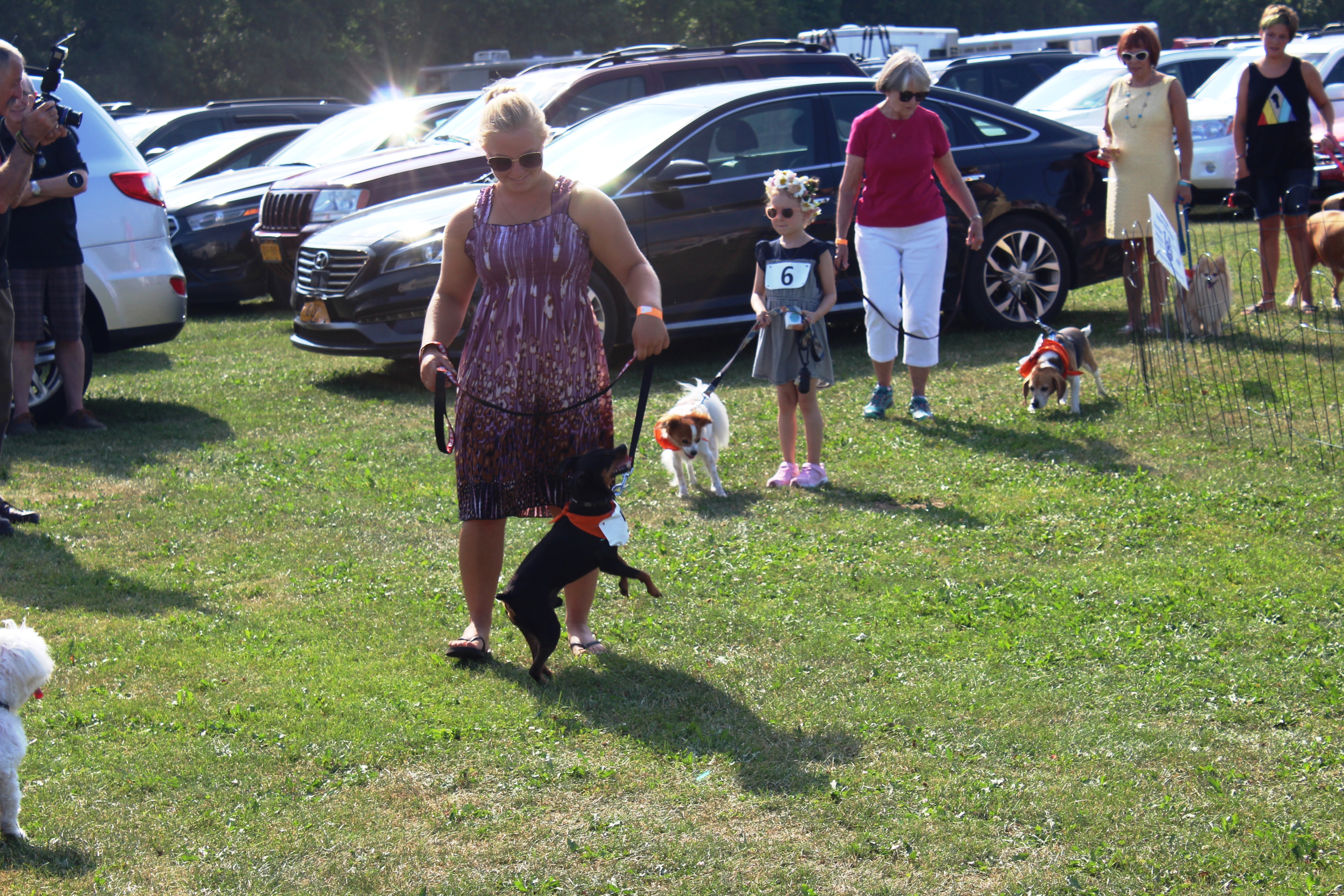 Woman doing trick with dog at the Saratoga Dog's Pony Show to benefit AIM Services, Inc.