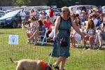 Woman smiling walking dog at the Saratoga Dog's Pony Show to benefit AIM Services, Inc.