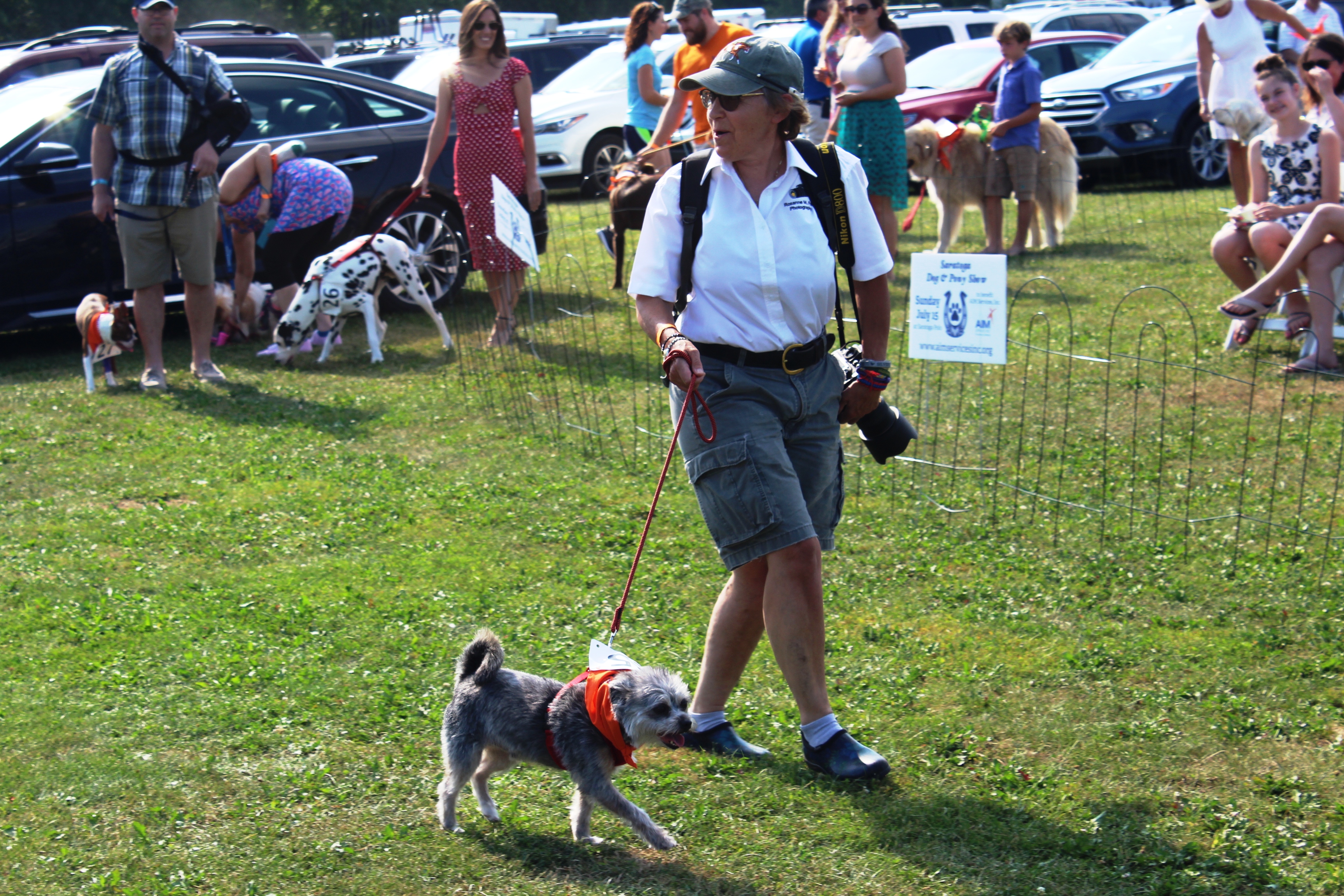 Woman with large camera walking small dog at the Saratoga Dog & Pony Show to benefit AIM Services, Inc.