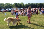 Young boy walking dog wearing a tie at the Saratoga Dog & Pony Show to benefit AIM Services, Inc.