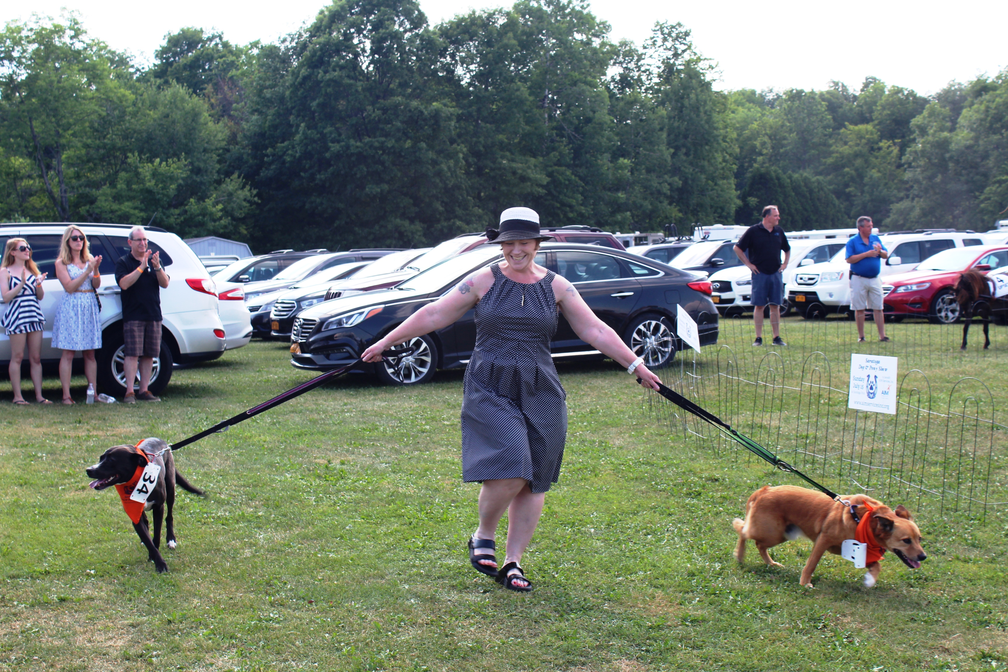 Woman walking two dogs on leashes at the Saratoga Dog & Pony Show to benefit AIM Services, Inc.