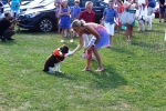 Dog giving paw trick at the Saratoga Dogs Pony Show to benefit AIM Services, Inc.