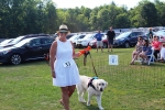 Woman smiling with dog at the Saratoga Dogs Pony Show to benefit AIM Services, Inc.