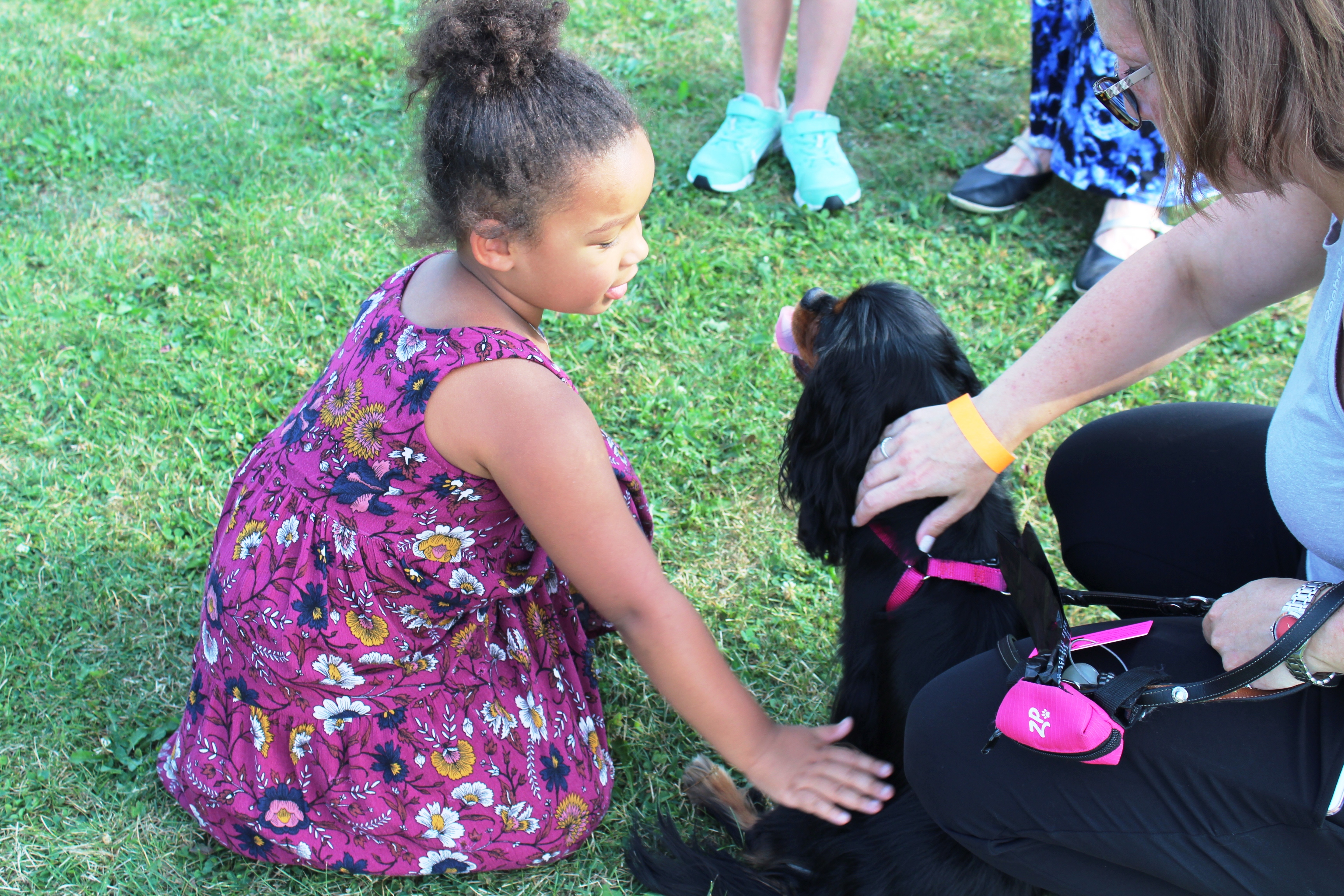 Girl petting dog at the Saratoga Dog & Pony Show to benefit AIM Services, Inc.