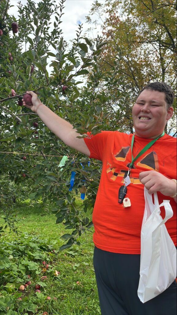 man holding apple off of apple tree