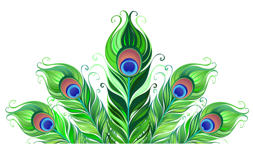 peacock feather graphic