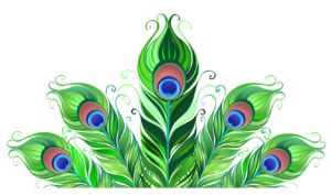 peacock feather graphic